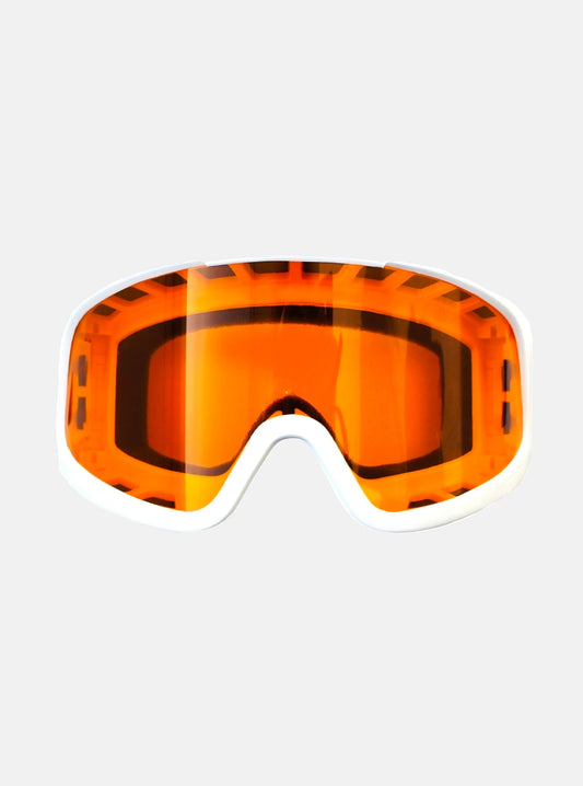 Photochromic Snow Goggles for Variable Light Conditions